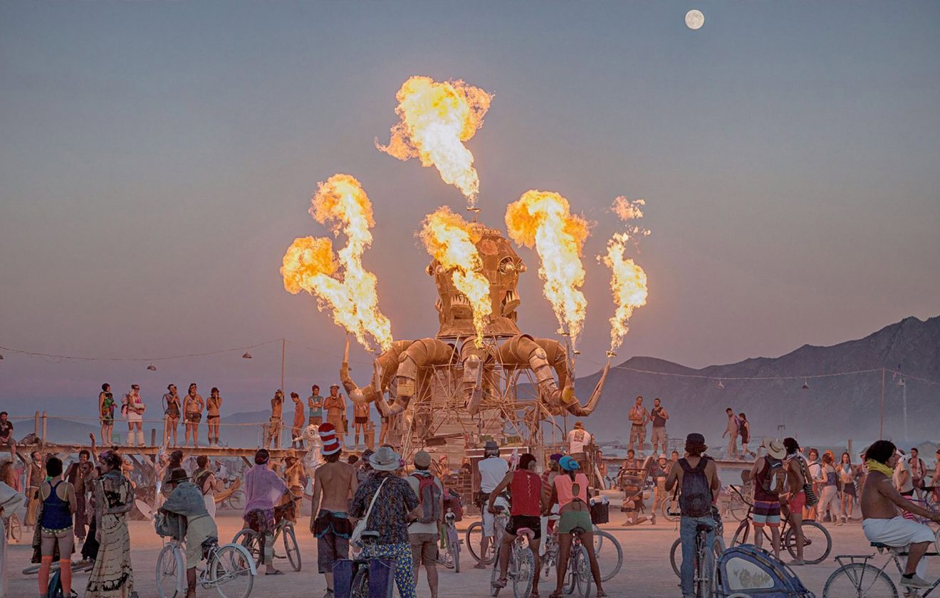 #FestivalVibes: Art, Fire, and Community Spirit 1 content 62